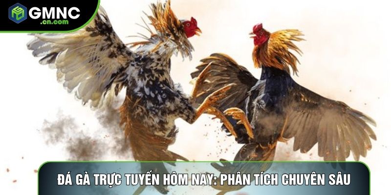 Đá Gà Trực Tuyến Hôm Nay: Phân Tích Chuyên Sâu Về Thị Trường