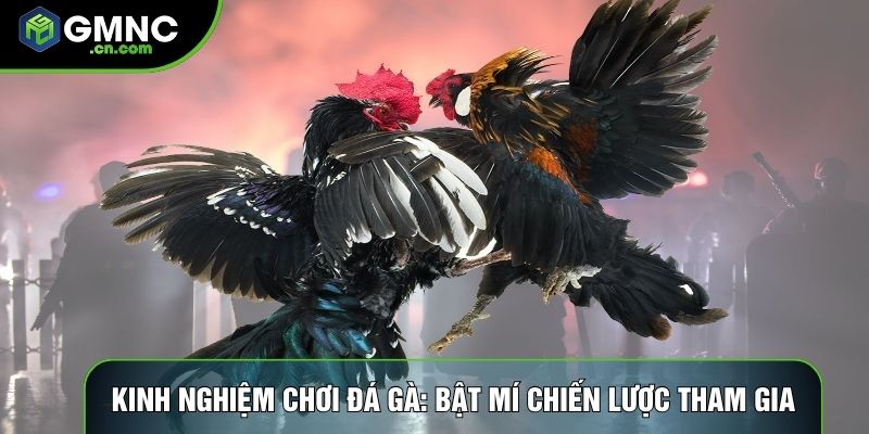 Kinh Nghiệm Chơi Đá Gà: Bật Mí Chiến Lược Tham Gia Hiệu Quả