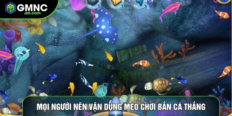 Mọi người nên vận dụng mẹo chơi bắn cá thắng linh hoạt